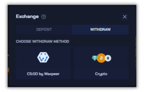 The CSGOBIG withdraw options